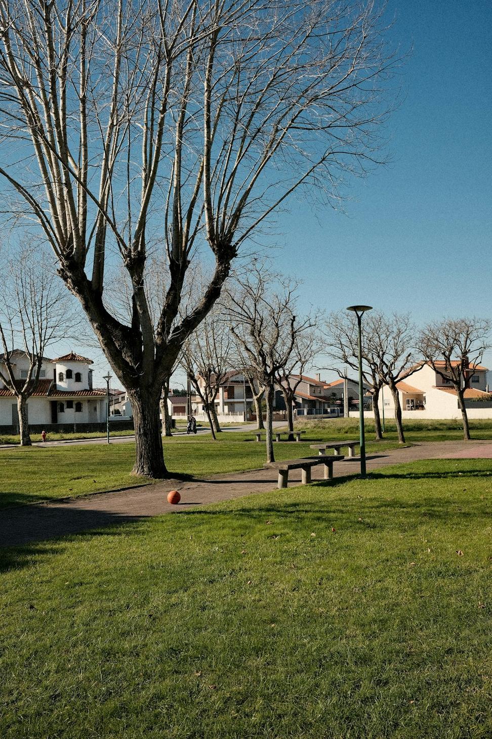 Community Plaza